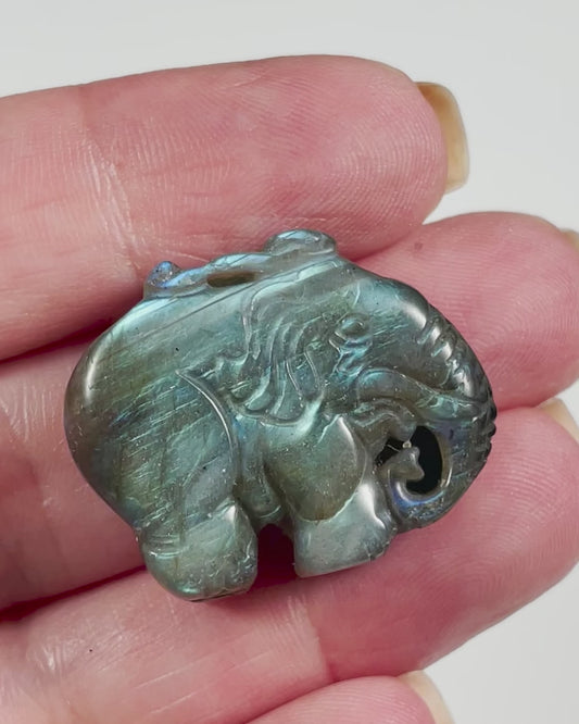 Small Elephant Carved Labradorite 1.1 inch